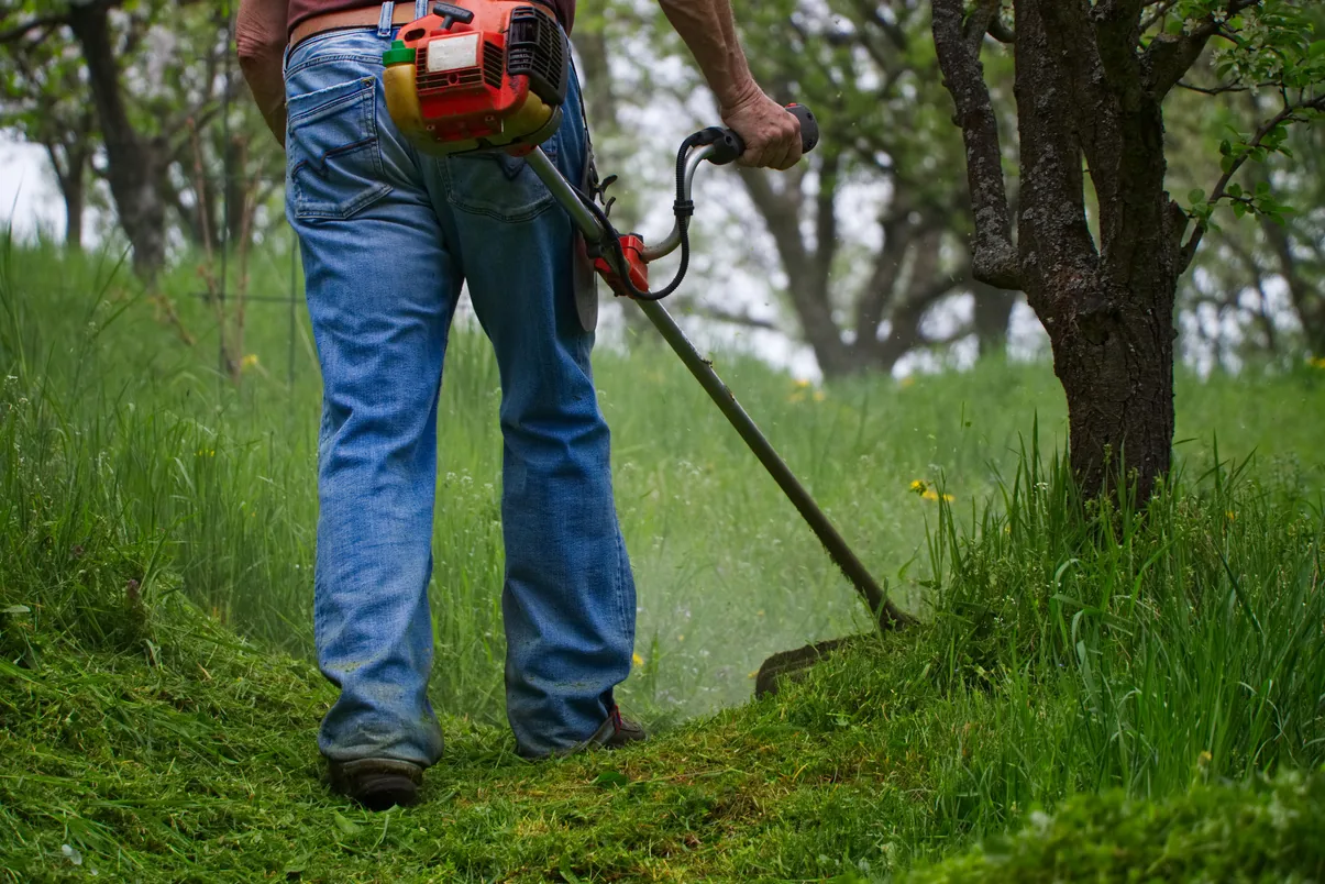 Grass cutting works along the road reserve / Kerja pemotongan rumput di rizab jalan
